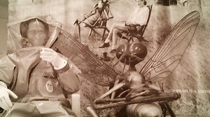 Piedmont Piedmont | Centers For Disease Control And Prevention