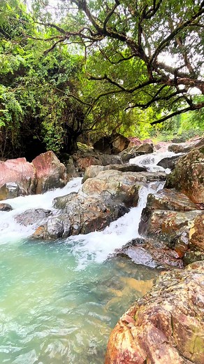 TikTok - Make Your Day