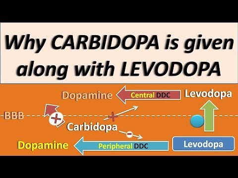 Why Carbidopa is given along with Levodopa