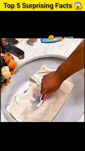 Top 5 Genius Hacks for Everyday Problems #shorts #shortvideo #kitchenhacks #shortsfeed #shortvideo #reelsvideoシ #reelsviralシ #reelsviralシfb #shortsreels | Offo Facts