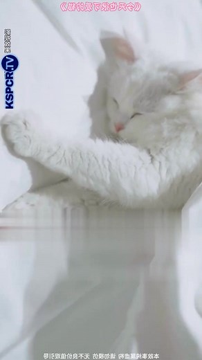 6.5K views · 101 reactions | Le Secret des Femmes Jiang Malédiction, Métamorphose et Rédemption | David Marte | Facebook