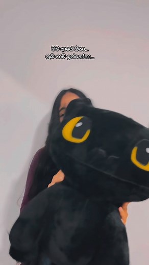 How to train your dragon 🖤 | Liyara plushies