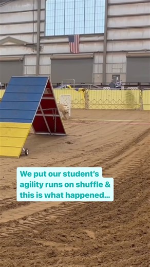 48K views · 339 reactions | Agility for every taste  Whether your...