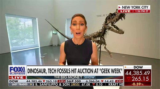 Multi-million-dollar dinosaur, meteorite fossils for sale at NYC ‘Geek Week’