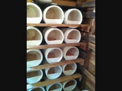 Pigeon Nest Boxes Varieties Ideas & Plans / WWW.DonsPigeons.Com