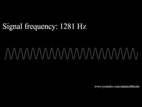 Beware: Hurts Animals Ears 2021 Frequency's Low to High Hearing Test ( dog whistle )