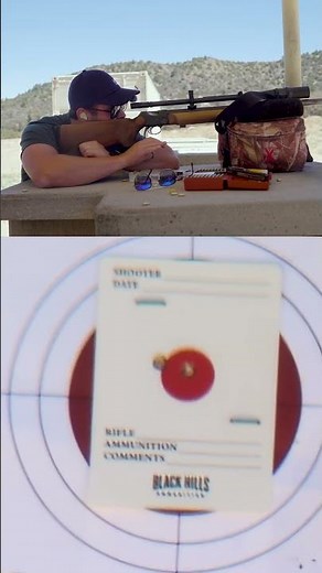 BSA Martini Int'l, High Velocity 22, 50yds