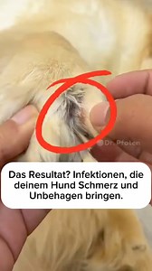 1.8K reactions · 245 shares | Nie wieder Kampf beim Pfoten trimmen!...