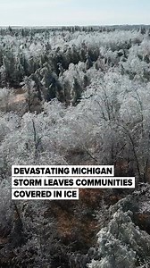 1.3M views · 16K reactions | : https://l.mlive.com/45f62b Catastrophic. That's what Carlin Smith of Consumers Energy called the ice storm that hit northern Michigan over the weekend. Consumers hopes to have restored power to most of its customers by Friday. | MLive.com | Facebook