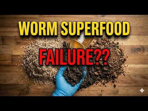 7-Day Pre-Compost Result: It Worked (But There’s a Catch!) | Feb 10, 2026