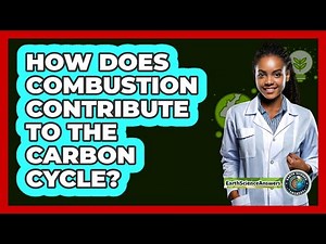 How Does Combustion Contribute To The Carbon Cycle?