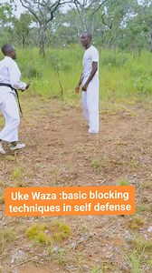 134K views · 1.5K reactions | Uke Waza: basic blocking techniques we use in self defense. the power of traditional Karate #karatespecialist #karatetechnique #karate #martialarts #mma #jiujitsu #kyokushinkarate | Nathan Chilenga | Facebook