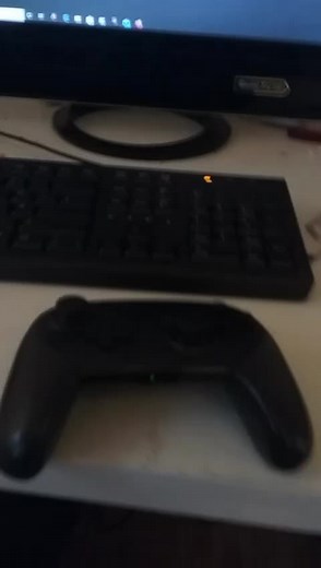 so kann man eine Nintendo Switch pro Controller mit dem Computer verbinden
