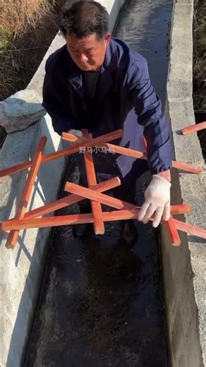 Bridge Building Skills Using the Principle of Leverage