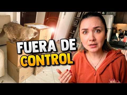 My daily routine has spiraled out of control. What am I going to do about all this?