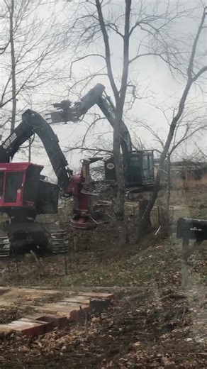 #westvirginia #timbco #rotobec