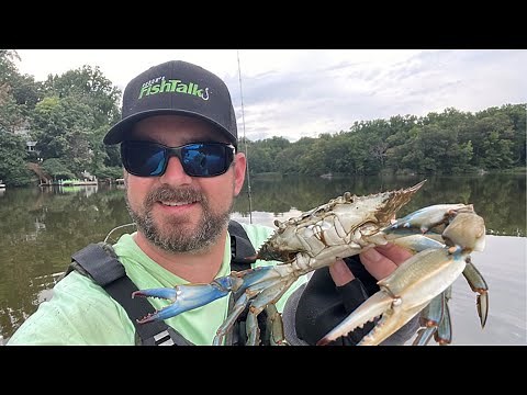 How To Catch Blue Crabs with a Kayak Crabbing Trotline