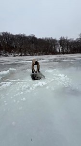 #icefishing #spearing #frozenlake #mn | Nick Slavik