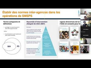 Manuels et principes en Santé Mentale et Soutien Psychosocial du IASC/CPI