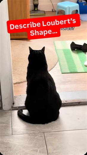 Loubert The Cat on Instagram: "It’s almost a pear…. Almost a lumpy brick… #loubertthecat #ilovecats #catowners #tuxedocatsofinstagram #fatcats"