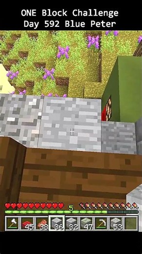 Day 592 Minecraft build challenge - ONE BLOCKS BUILD