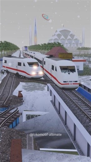 High Speed Train Switches Tracks as Flying Train Passes #railroad #railtrack #train #railway
