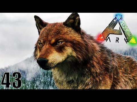 LA CAPTURE DU LOUP FÉROCE ! | ARK: Survival Evolved ! #Ep43