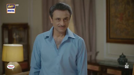 Sher Episode 29 | Danish Taimoor | Sarah Khan | AUGUST 2025 | ARY Digital Drama