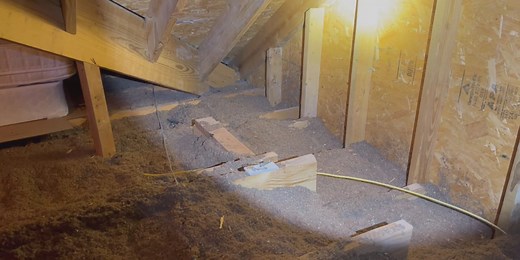 Protecting your house from infestation