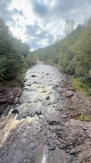 Friday Flows. Bad River in Copper Falls State Park. Drink it in. #friendsofwisconsinstateparks #wisconsin #wisconsinfriends #wisconsinstateparks #outwigo #optoutside #nature #badriver #copperfallsstatepark #northwoods #northwoodswisconsin #fall #november #hike #friday | Friends of Wisconsin State Parks