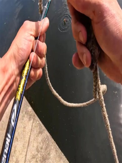 Giant Fish Caught: Unbelievable Strength and Size!