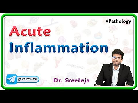 1 : Acute Inflammation : Cellular changes and Vascular changer : USMLE Step 1 Pathology