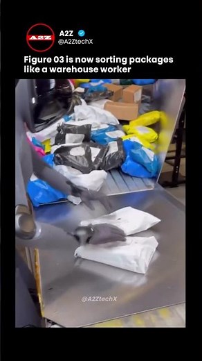 Figure 03: The Humanoid Sorter Solving the "Soft Parcel" Problem