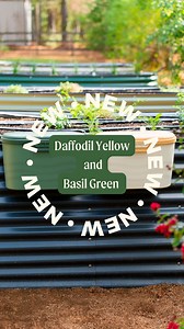 In case you missed it, your favorite Vego Garden toolbox is now in vibrant Daffodil and soothing Basil! Add a splash of color to your gardening adventures. Our toolbox is perfect for every green thumb, get yours today at vegogarden.com 🧰 💚 | Vego Garden
