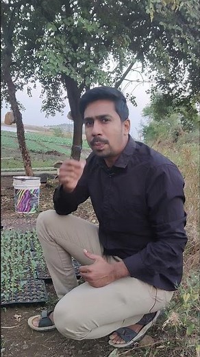 एक एकड़ में ब्रोकली की खेती के लिए बीज का कितना खर्च होगा | Broccoli Farming In India | #shorts