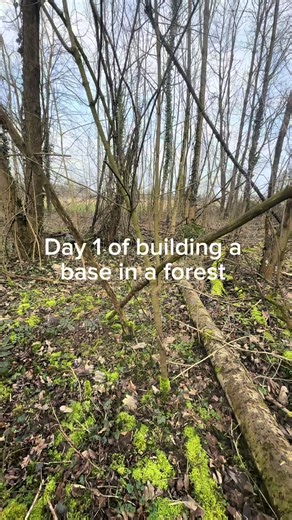 Building a Base in a Forest: Day 1 Insights
