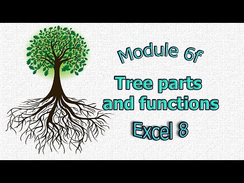 Excel 8 grade Module 6f Tree parts and functions, Части дерева и их функции на английском