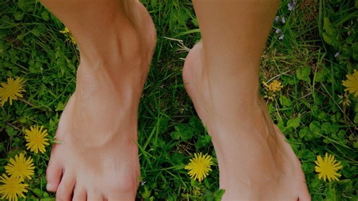 The Earthing Movie - Apple TV