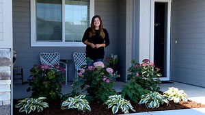 141K views · 5.2K reactions | Planting a Front Garden Bed for a Friend!   | Garden Answer | Facebook