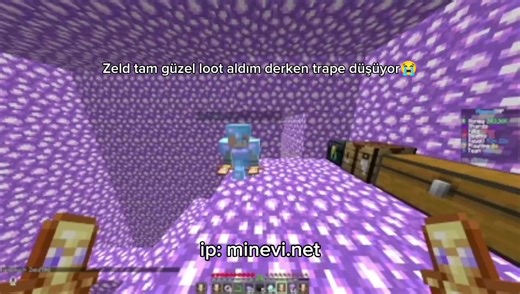 Exploring Minevi.net: A Guide to Crystal PvP and SMP