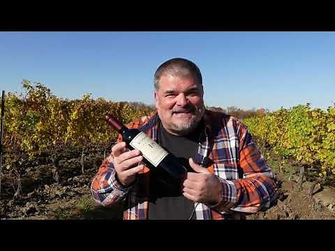Cono Sur 2019 Cabernet Sauvignon - No. 18 Suelo de Piedras (Chile)