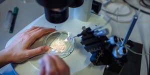 The Latest CRISPR Gene Editing Firm Preparing to Go Public: Brainstorm Health