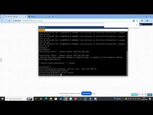 Experiment 1 Basic Switch Configuration
