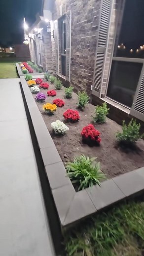 Best emoji wins! 👀 Part 03 #homeproject #transformation #makeover #DIYhome #HomeProj #Gardentok #satisfyingvideo #beforeandafter #DIY #homemakeover #diyproject #asmrs #homeremodel #fyp #foryou #foryourpage | Eoto Lara