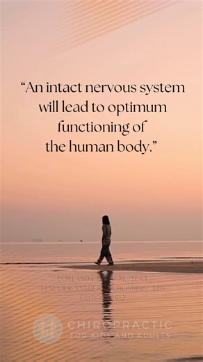 “An intact nervous system will lead to optimum functioning of the human body.” Your nervous system is the communication highway between your brain and every cell, tissue, and organ. When that connection is clear and free from interference, the body can adapt, regulate, and function the way it was designed to. Chiropractic care focuses on supporting that connection, not forcing change, but allowing the body to do what it already knows how to do best. ✨ Clear communication. Better function. More l