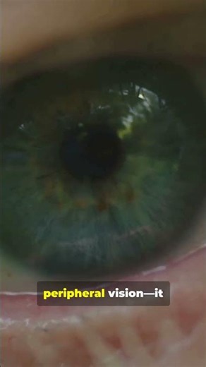 Train Your Peripheral Vision 👁️