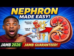 JAMB 2026 Biology: Excretory System, Nephron & Urine Formation FULL LESSON (Guaranteed Questions!)