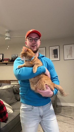 Interactive Fish Toys for Cats: Fun for Your Feline Friend