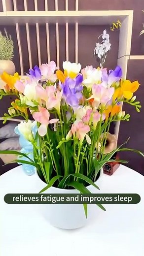 How to Grow Freesia for Beautiful Blooms! 🌸 Secret Tips Revealed!
