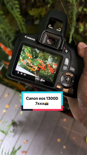 Canon 1300D: A Comprehensive Guide to This Camera